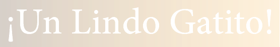 ¡Un Lindo Gatito!